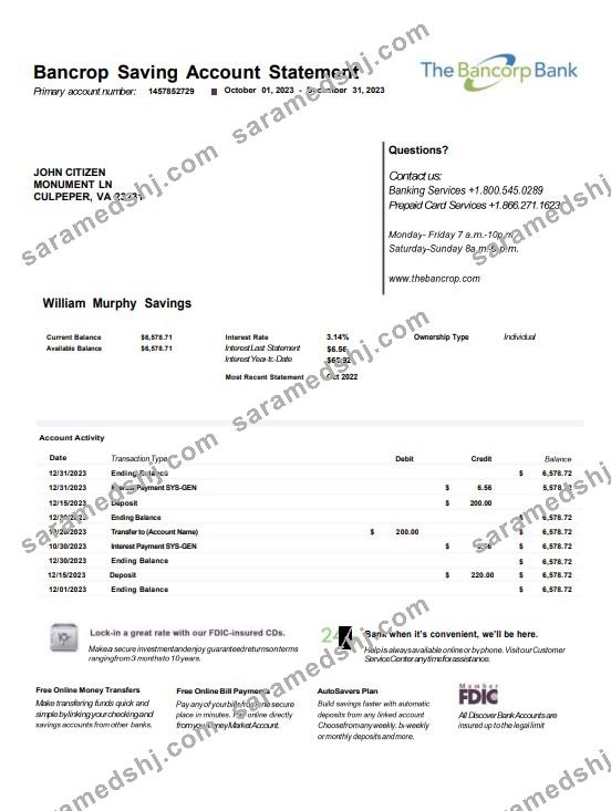 USA Bancorp bank statement Word and PDF template
